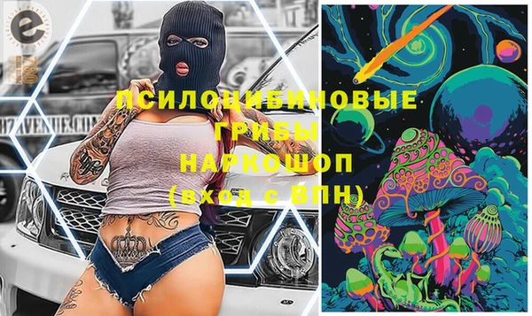 дмт Алексин