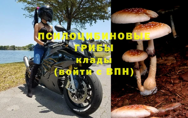 ALPHA PVP Алексеевка