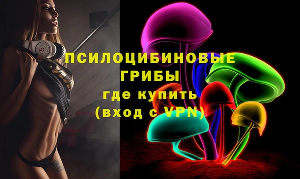 дмт Алексин